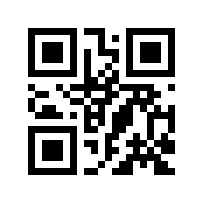 QR code 291311