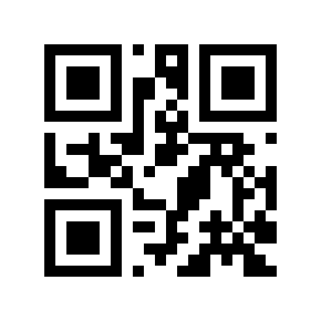 QR code 291317