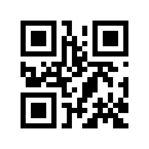 QR code 291334