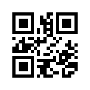 QR code 293878