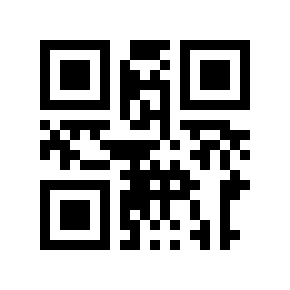 Código QR 2951940