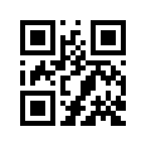 QR code 295238