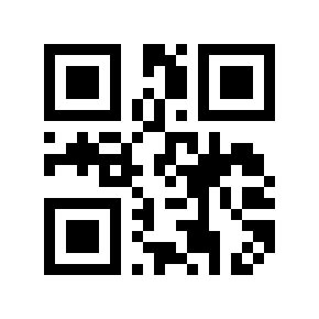 QR code 2976194