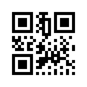 QR code 313004