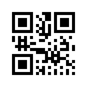 QR code 313117