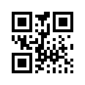 QR code 313132