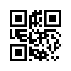 QR code 329728