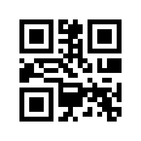 QR code 4530507