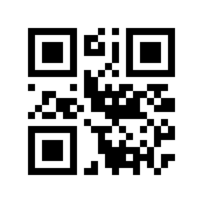 QR code 510207