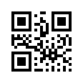 QR code 691573