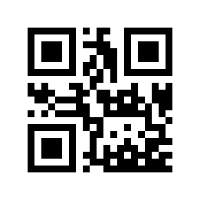 QR code 691601