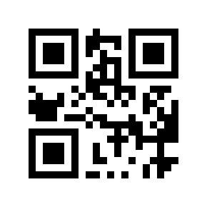 QR code 8101991
