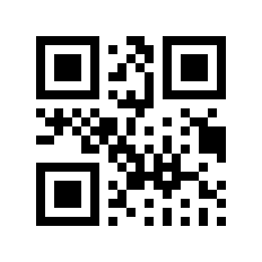 QR code 869561