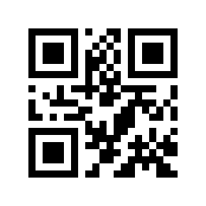 QR code 869566