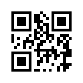 QR code 9161984