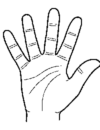 Lenguaje de señas para número 45852