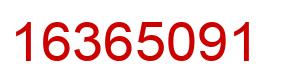 Number 16365091 red image