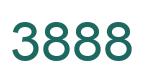 Number 3888 green image