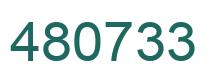 Number 480733 green image