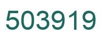 Number 503919 green image