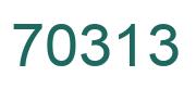 Number 70313 green image