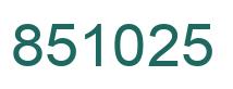 Number 851025 green image