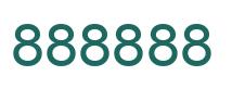 Number 888888 green image