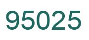 Number 95025 green image