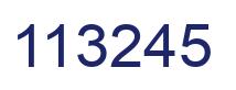Number 113245 blue image