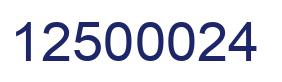 Number 12500024 blue image