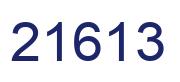 Number 21613 blue image