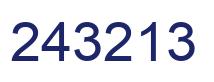 Number 243213 blue image