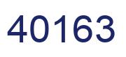 Number 40163 blue image