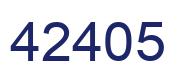Number 42405 blue image