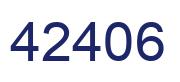 Number 42406 blue image