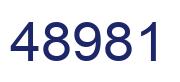 Number 48981 blue image
