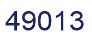 Número 49013 imagen azul