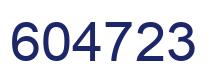Number 604723 blue image