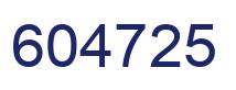 Number 604725 blue image