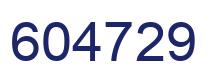 Number 604729 blue image