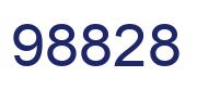 Number 98828 blue image