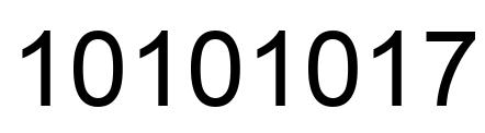 Número 10101017 imagen negro