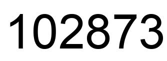 Number 102873 black image