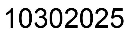 Number 10302025 black image