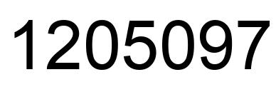 Number 1205097 black image