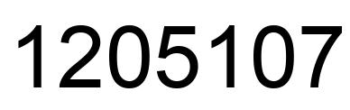Number 1205107 black image