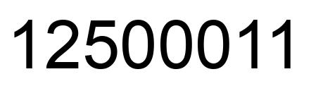 Number 12500011 black image