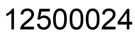 Number 12500024 black image