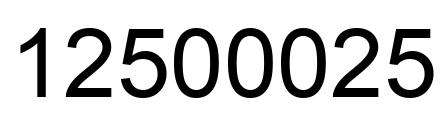 Number 12500025 black image