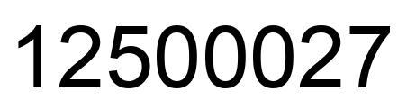 Number 12500027 black image